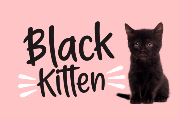 Black Kitten Typeface: A Handwritten Font with Editorial Warmth