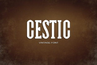 Cestic: A Serif Font Review for Real Design Work
