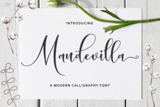 Mandevilla Script: A Handwritten Font That Brings Warmth to Branding