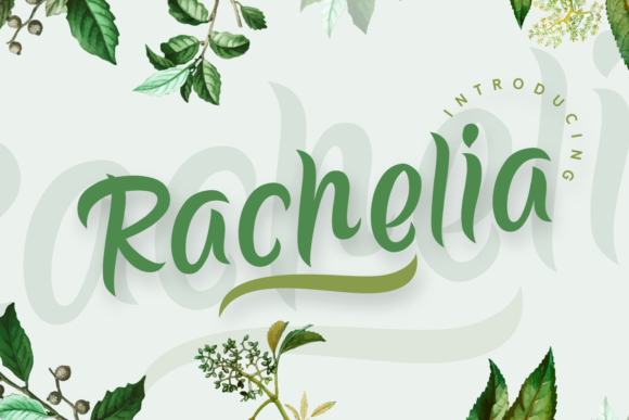 Rachelia: A Handwritten Font with Organic Curves for Branding